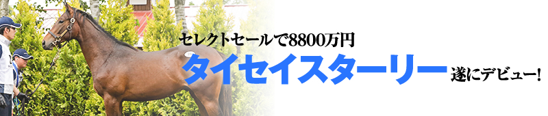 セレクトセールで8800万円のタイセイスターリーが遂にデビュー!