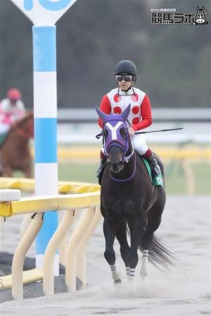 フェブラリーS