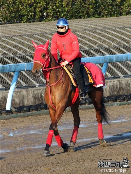 サクレエクスプレス