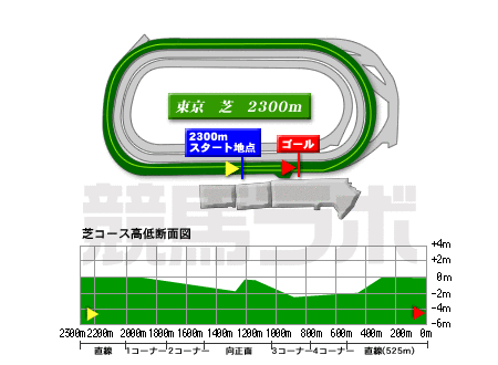 東京競馬場