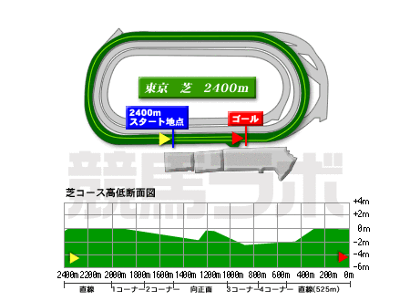 東京競馬場