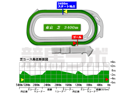 東京競馬場