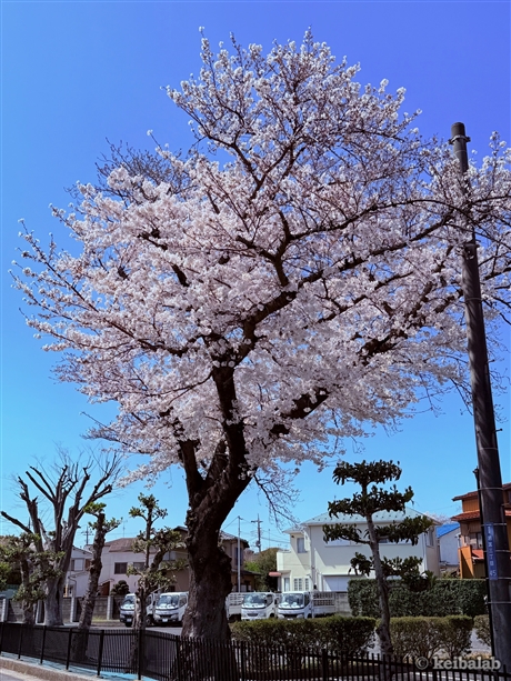 ★